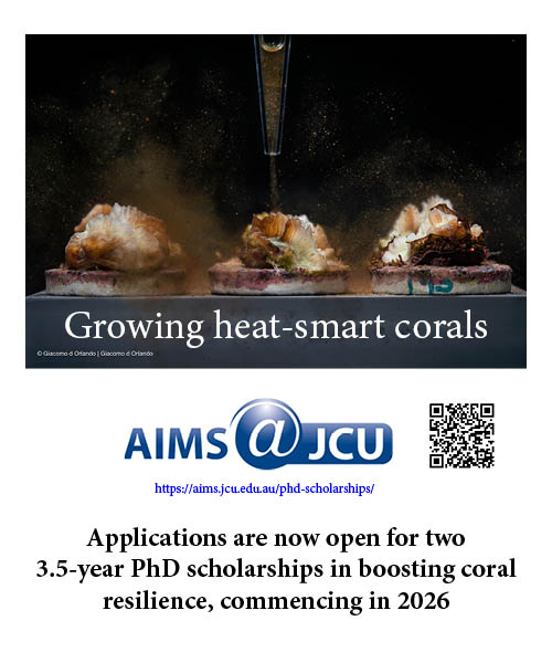 2026 scholarship advert